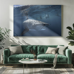 A Tiger shark is looking at me Poster