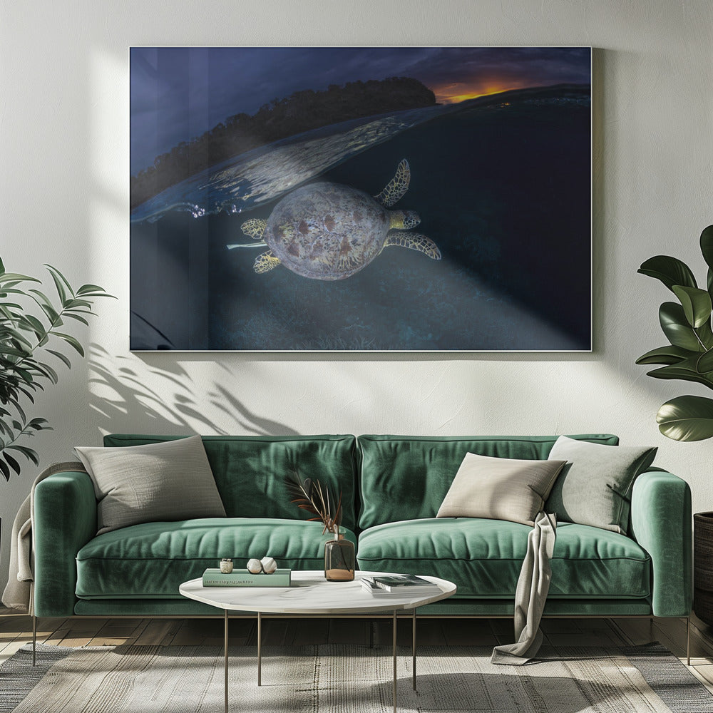 The green turtle and the blue hour Poster