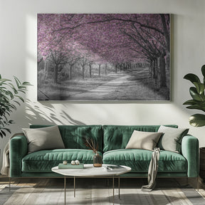 Charming cherry blossom alley in pink Poster