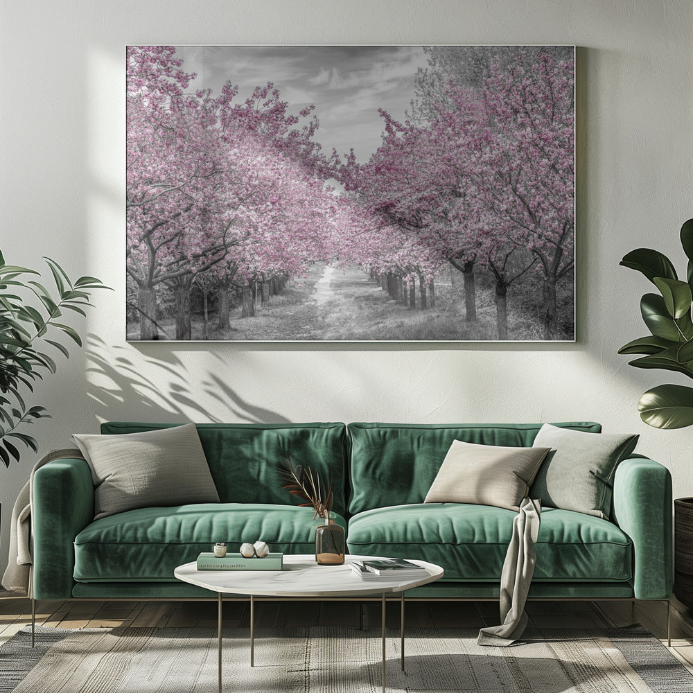 Charming cherry blossom alley Poster