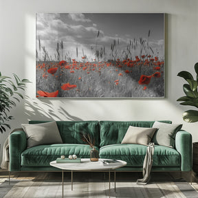 Field of poppies in colorkey Poster