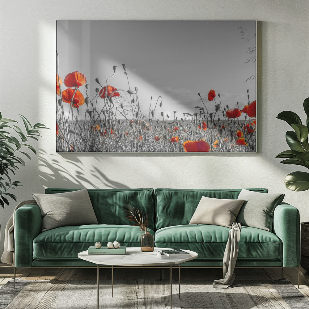 Lovely Poppy Field | panoramic view Poster