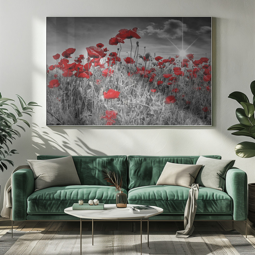 Idyllic Field of Poppies with Sun Poster