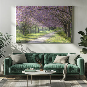 Idyllic cherry blossom alley Poster