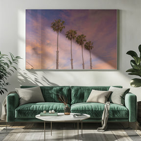 Palm trees - Idyllic sunset Poster