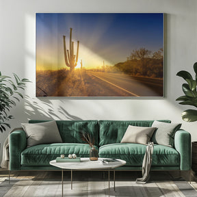 SAGUARO NATIONAL PARK Setting Sun Poster