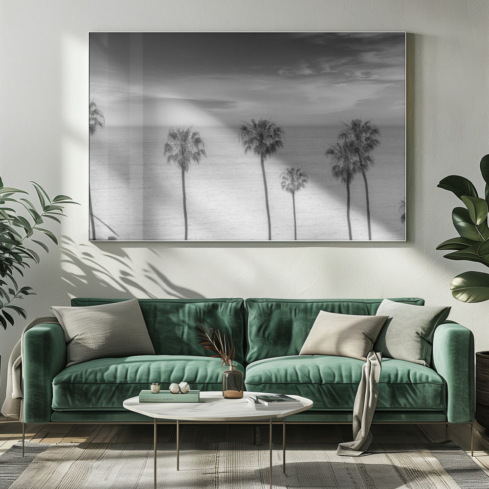 Lovely Palm Trees at the Ocean | monochrome Poster