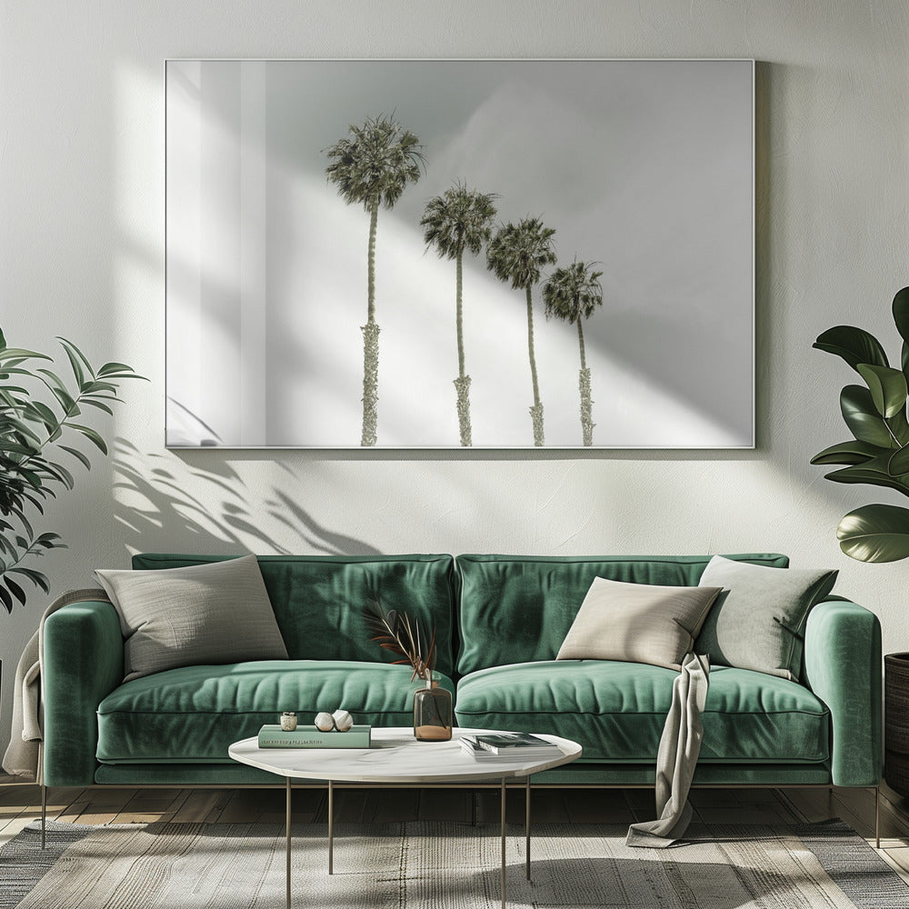 California Palm Trees Poster