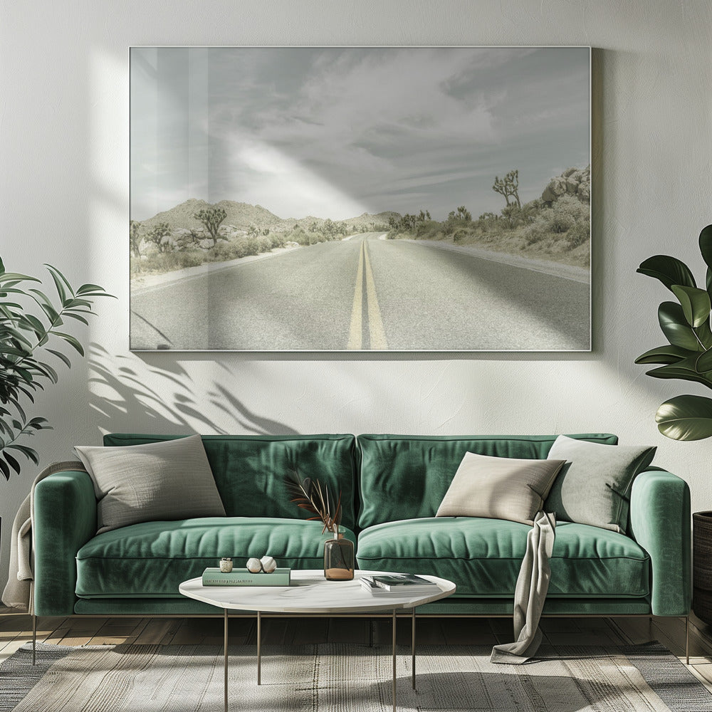 Vintage Joshua Trees, Park Boulevard Poster