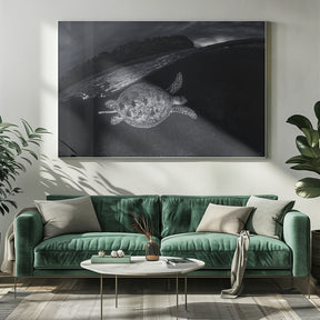 Monochrone, Split Level and Green Sea Turtle Poster