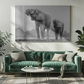 Elephants Poster