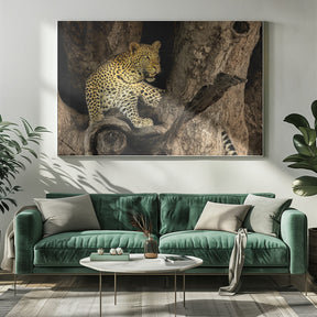 Leopard on A Tree Poster