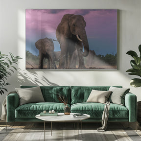 Elephants Poster