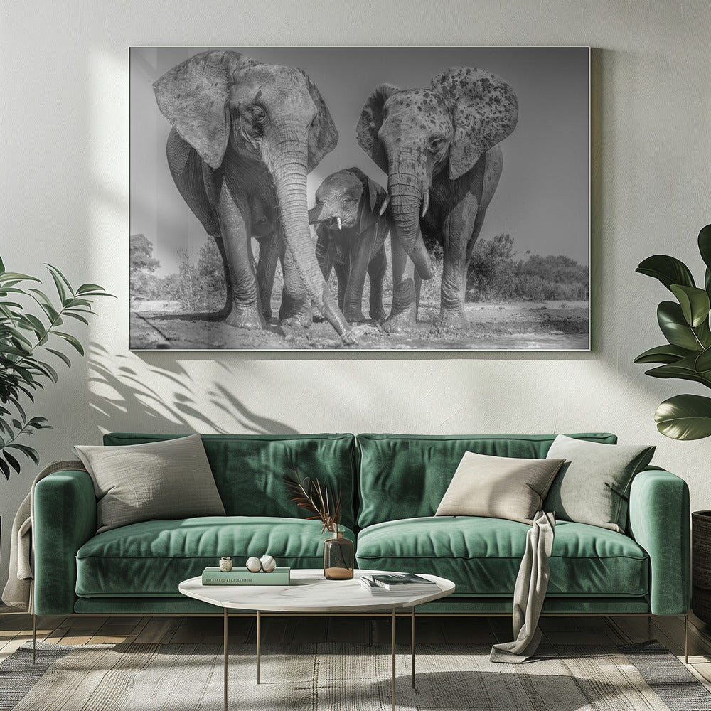 Elephant Family Poster