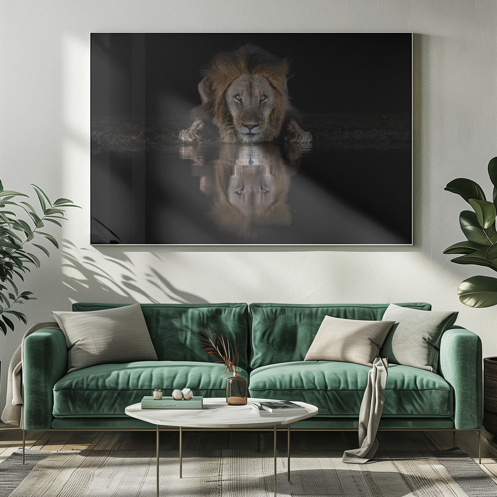 A Lion at The Night Poster