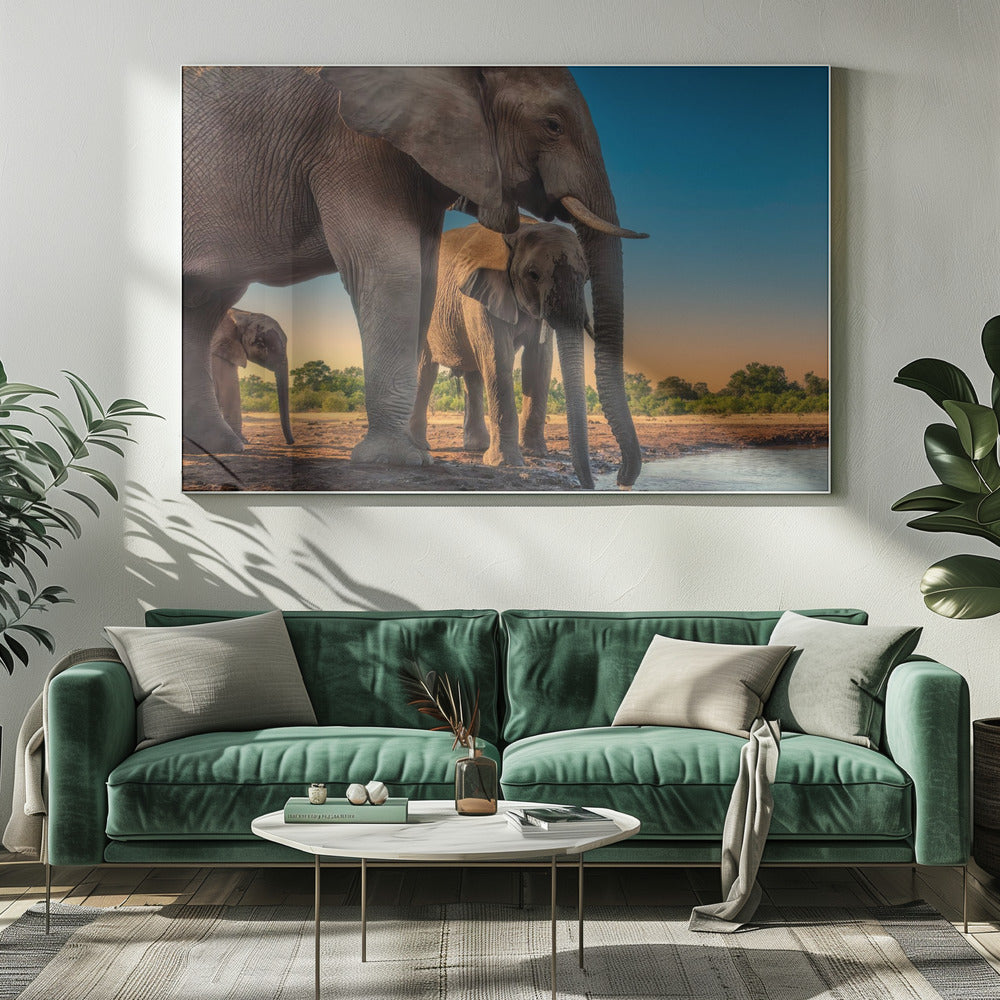 Elephant Family Poster