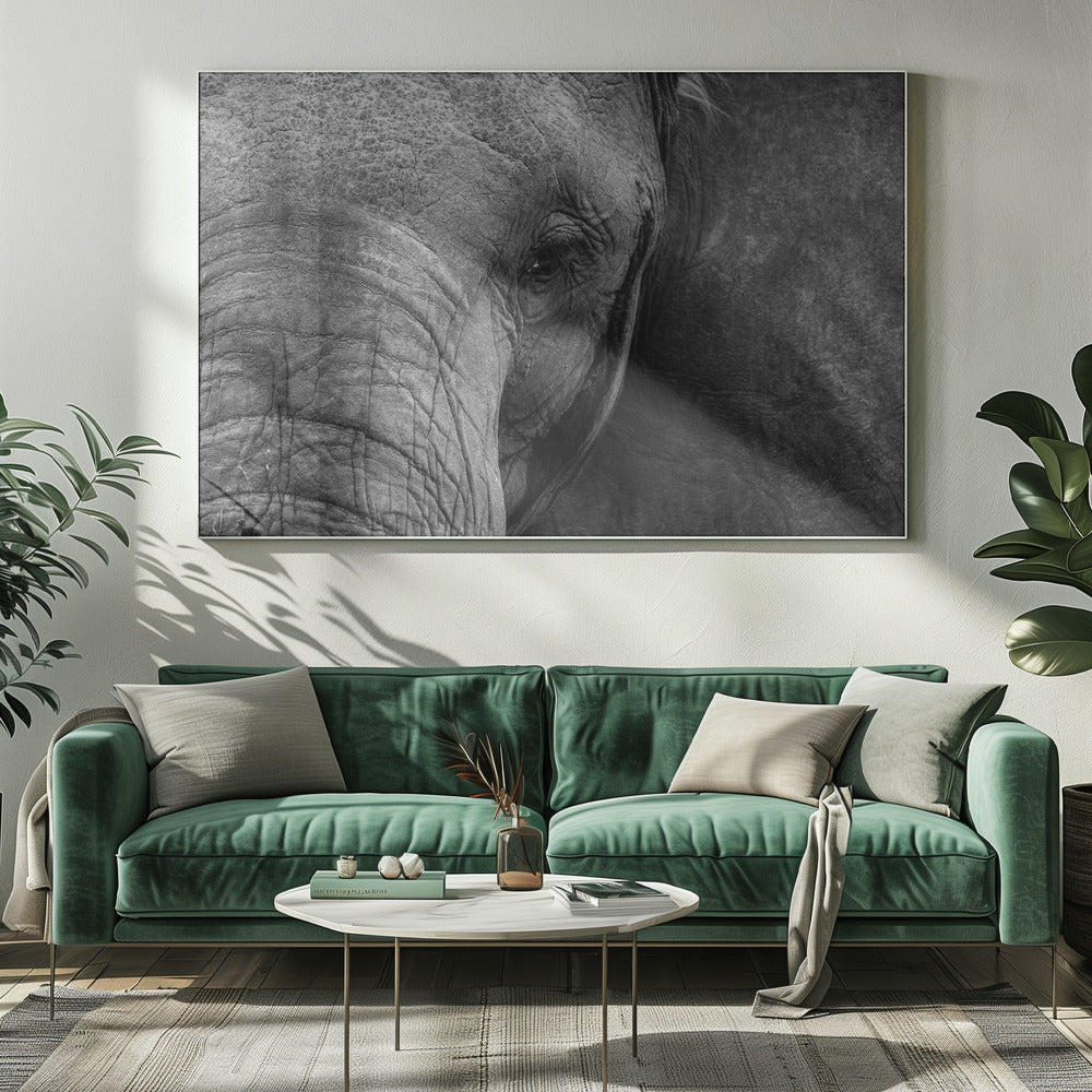 Close-up of elephant Poster