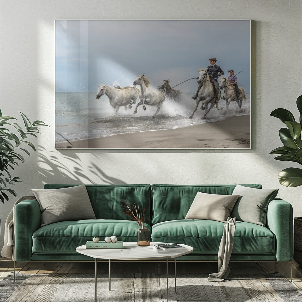 Camargue horses Poster