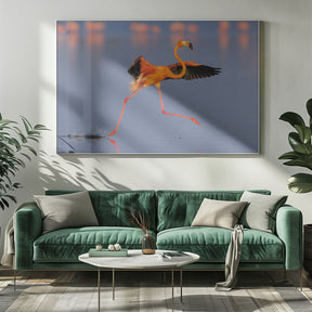 Flamingo Dancing Poster