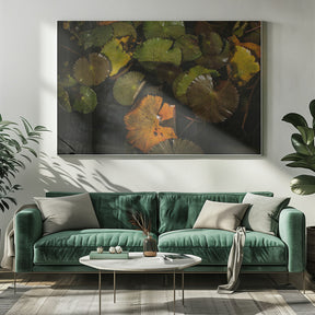 Lily Pads Poster