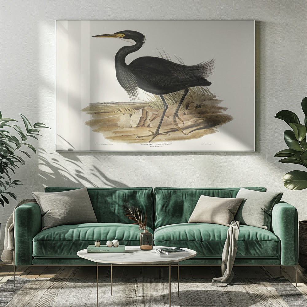 Sombre Egret Poster