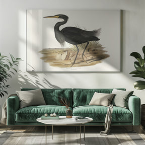 Sombre Egret Poster