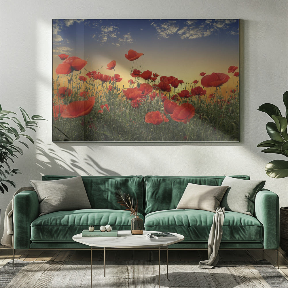 Poppies Poster