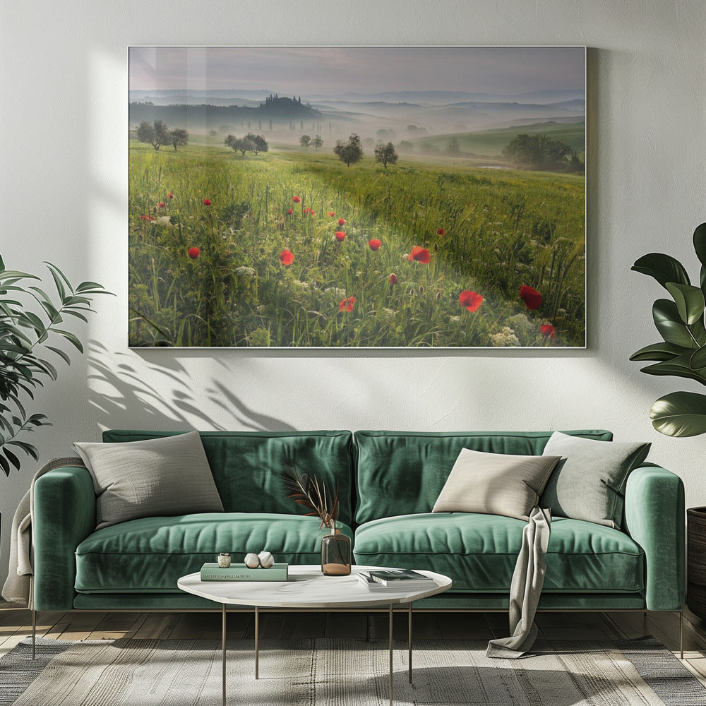 Tuscan spring Poster