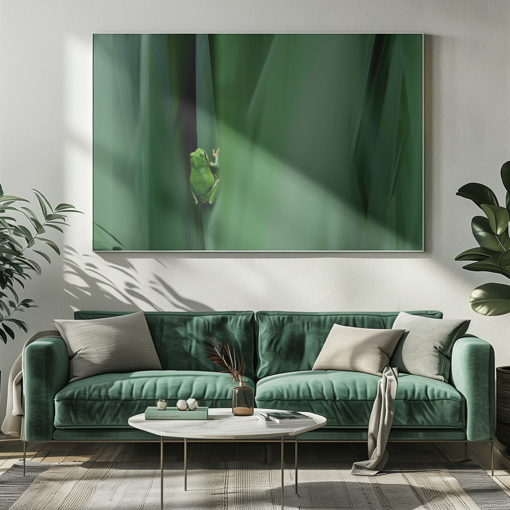 Stage curtain Poster