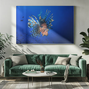 Lionfish Poster