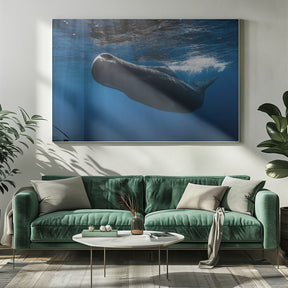 Sperm whale Poster