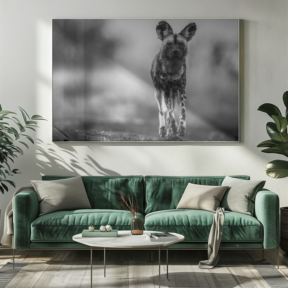 Monochrome Wild Dog Poster