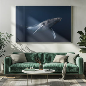 Humpback whale in blue Poster