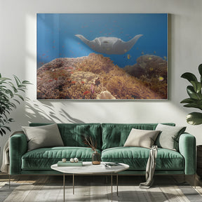 Natural aquarium Poster