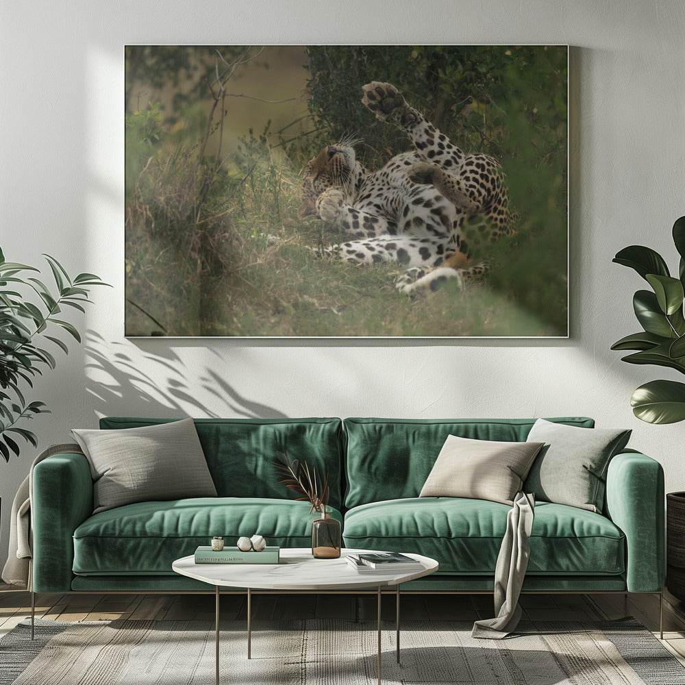 A leopard in Mara Triangle Poster