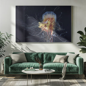 Giant Lion's Mane Poster