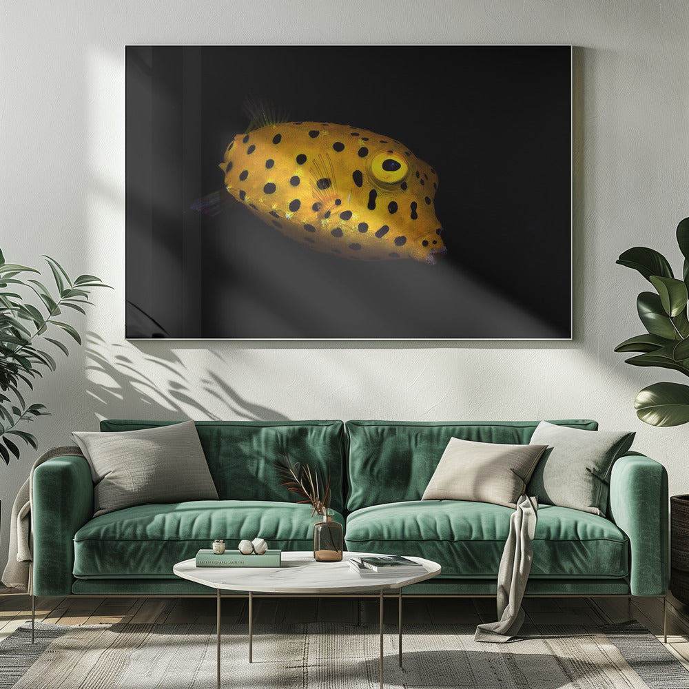 Yellow Boxfish Poster