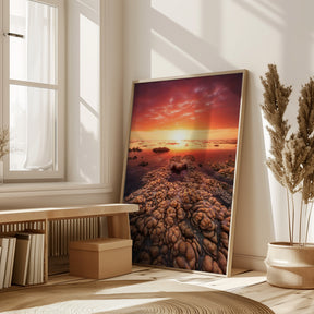 Low tide on the lagoon of Saint Leu. Poster