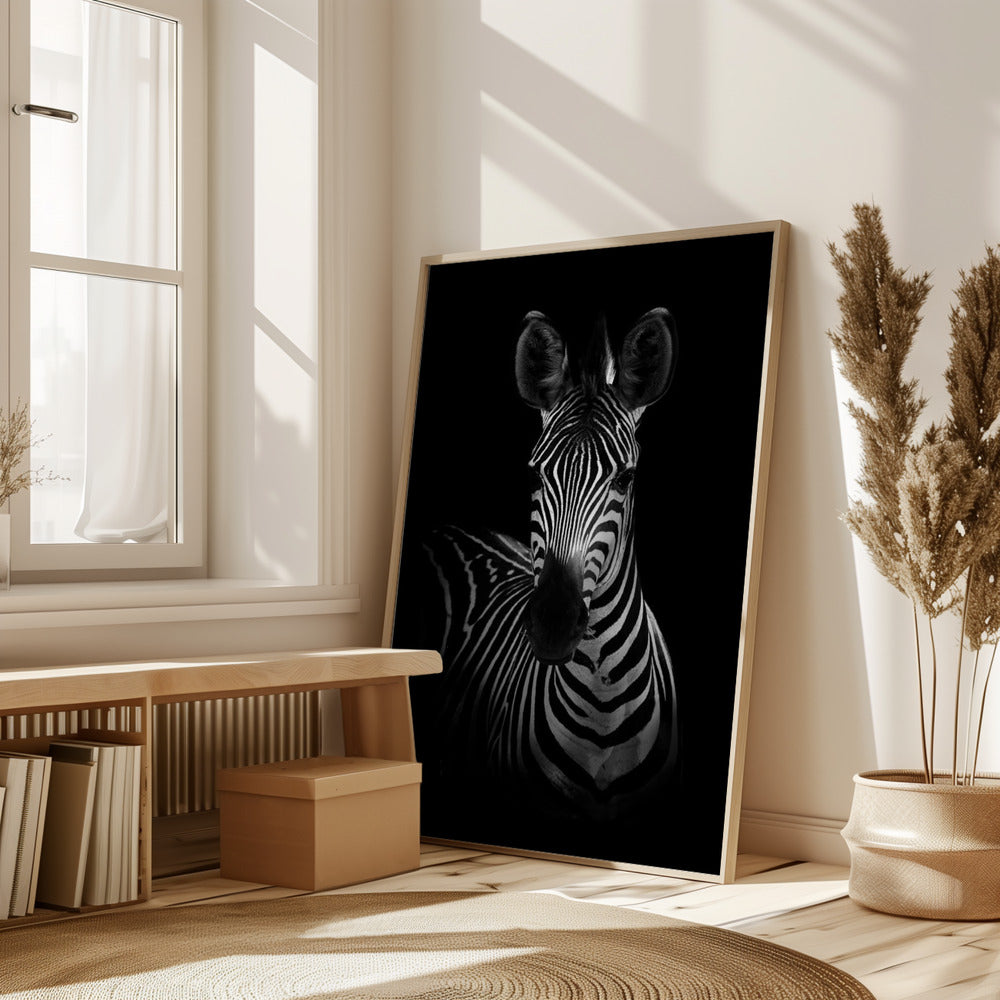 The Zebra Poster