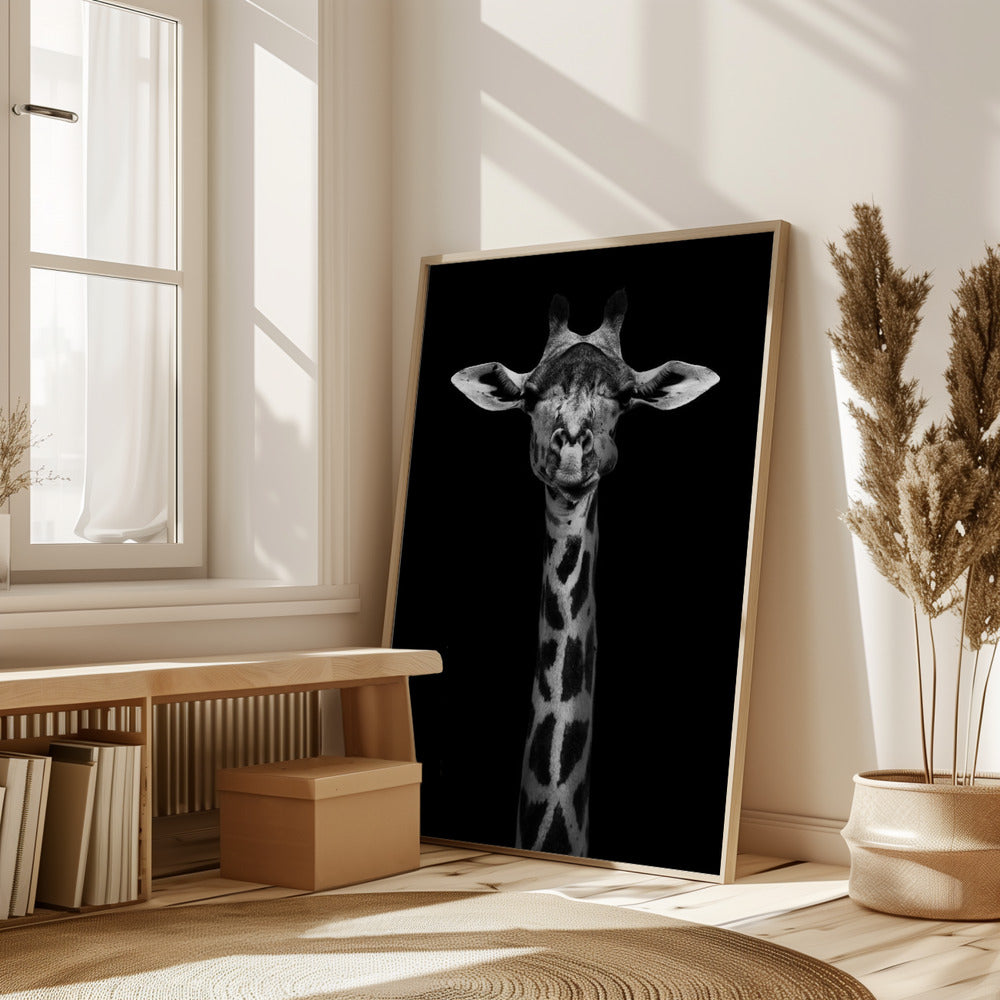 Giraffe Portrait Poster