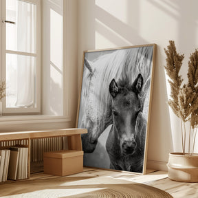 The Foal Poster