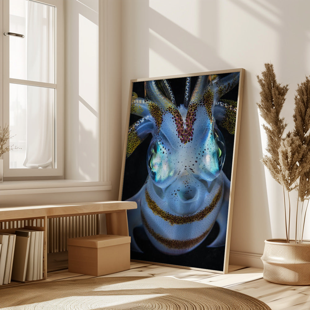 Squid close up Poster