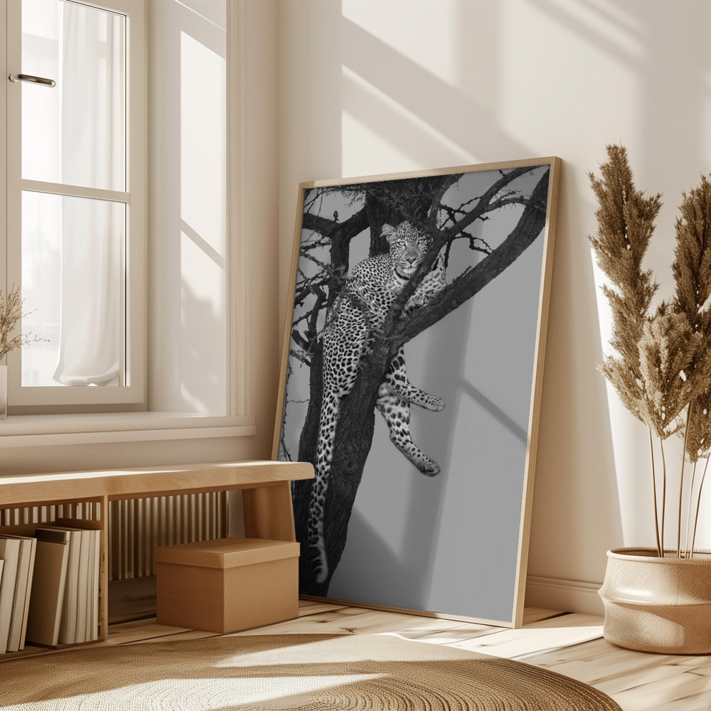 Rest On The Tree Poster