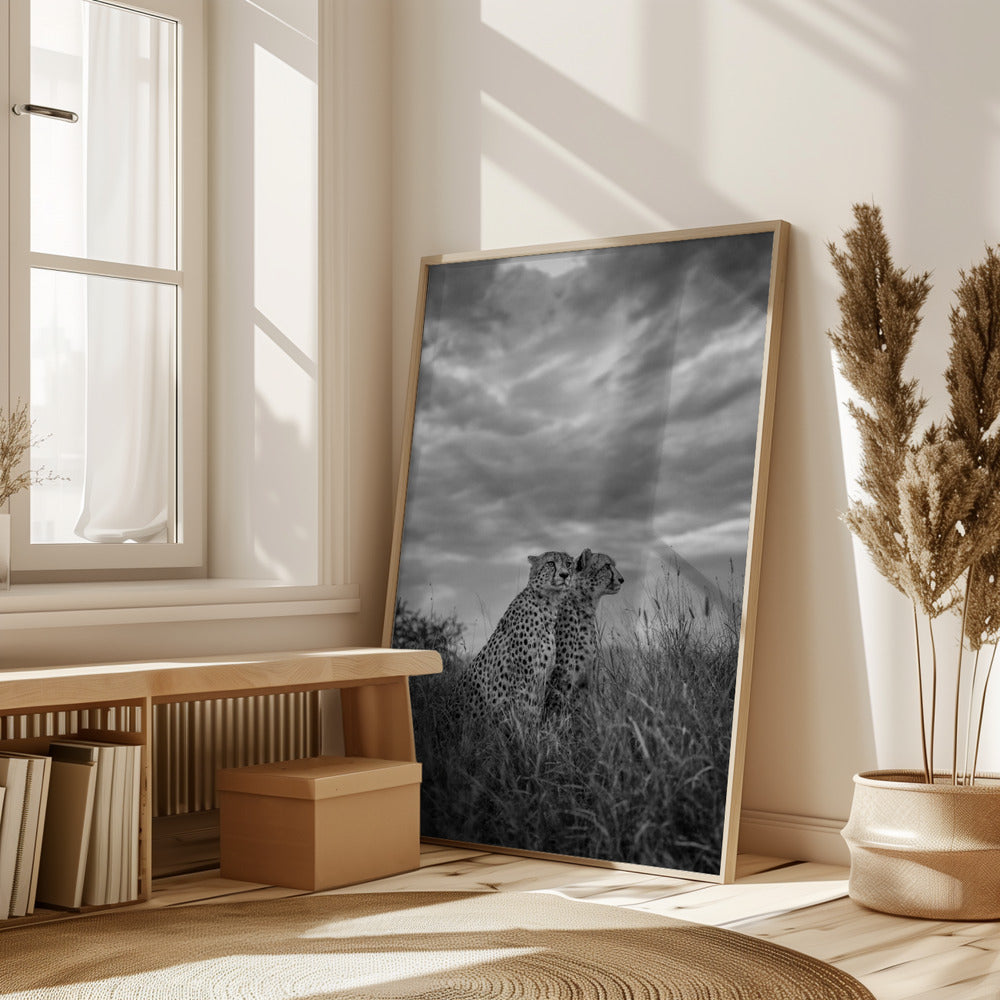 CHEETAH DREAMS Poster