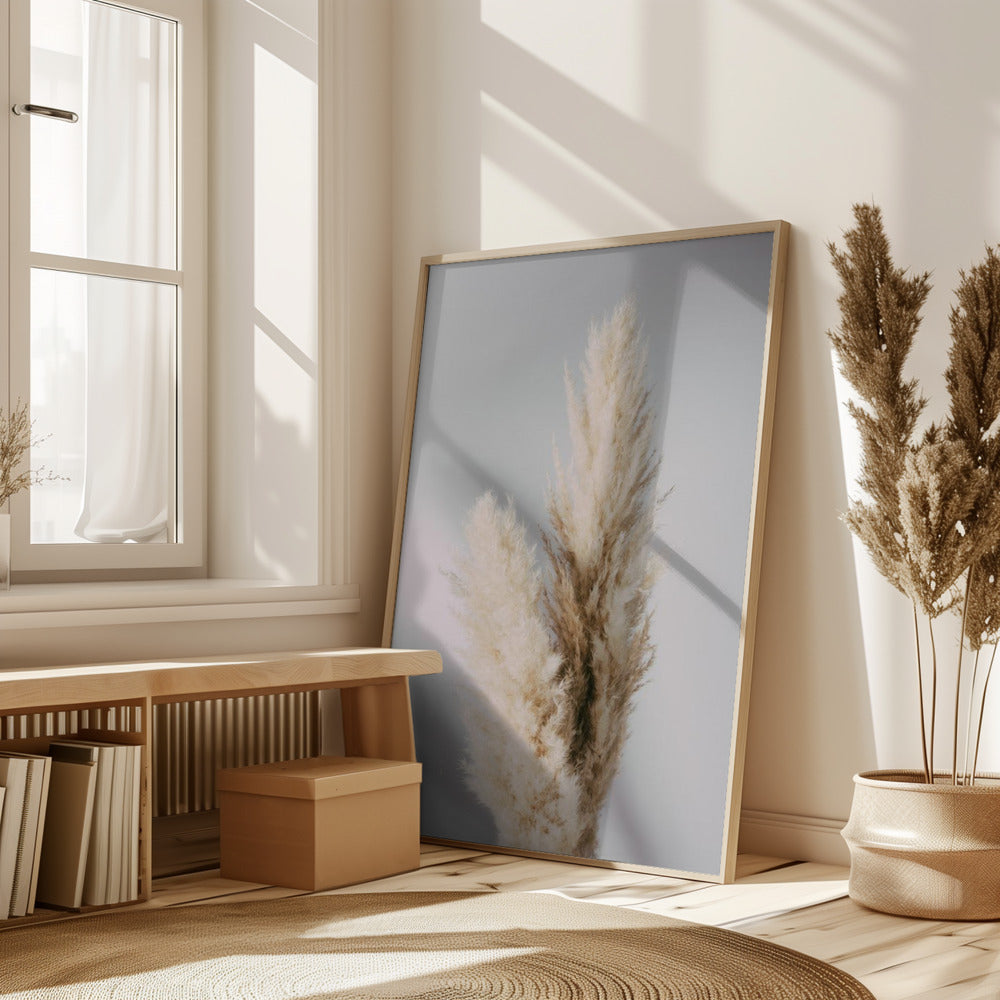 Pampas Grass Grey Poster