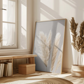 Pampas Grass Grey 02 Poster