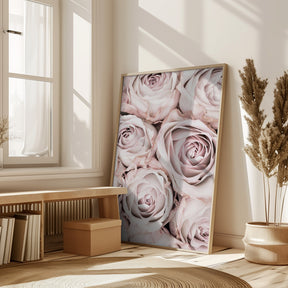 Pink Roses No 01 Poster