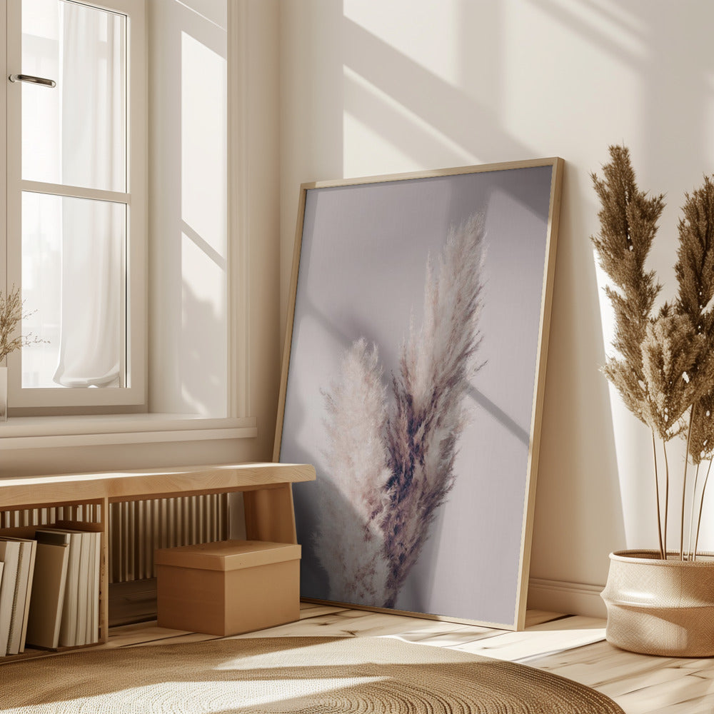 Pampas Grass Poster