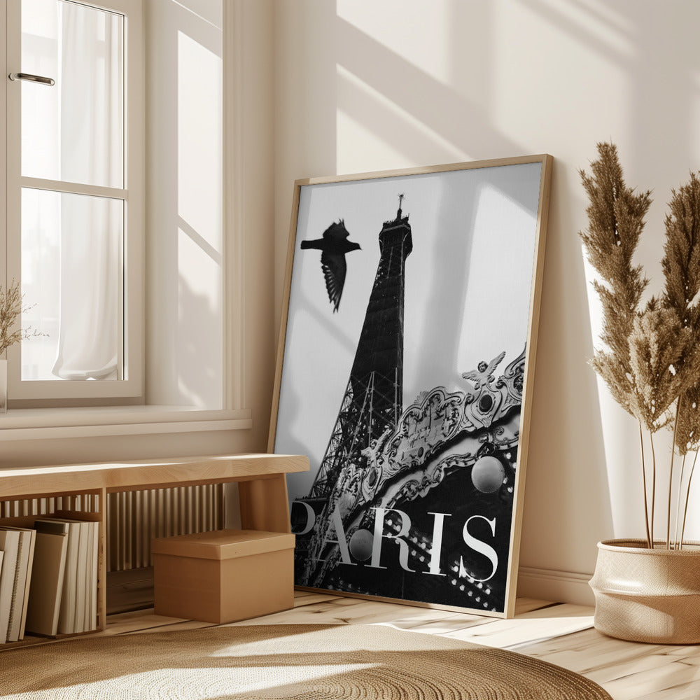 Paris Dove Poster