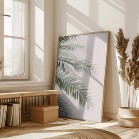 Blush Palm Leaves Poster